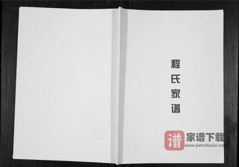 重庆江津区程氏家族辛二祖家谱PDF高清电子版下载-家谱下载