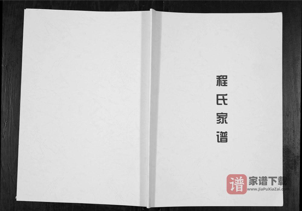 图片[1]-重庆江津区程氏家族辛二祖家谱PDF高清电子版下载-家谱下载