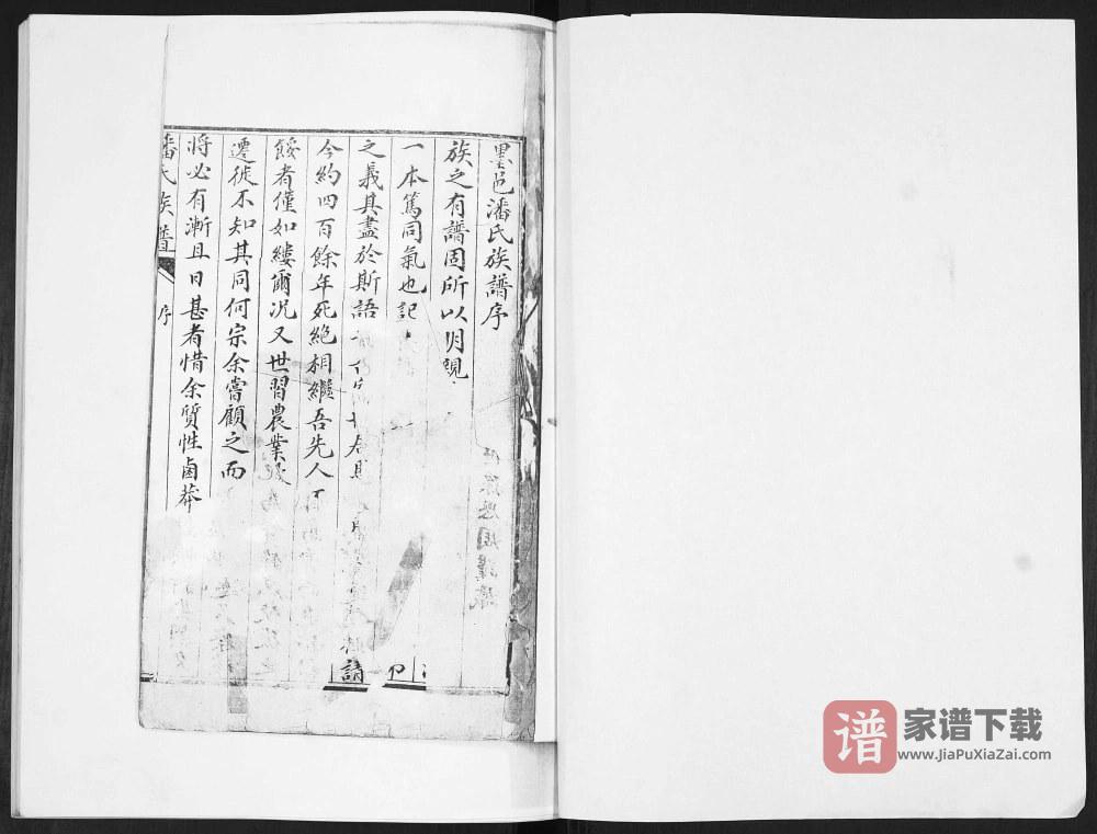 图片[2]-山东青岛即墨墨邑潘氏族谱PDF高清电子版下载-家谱下载