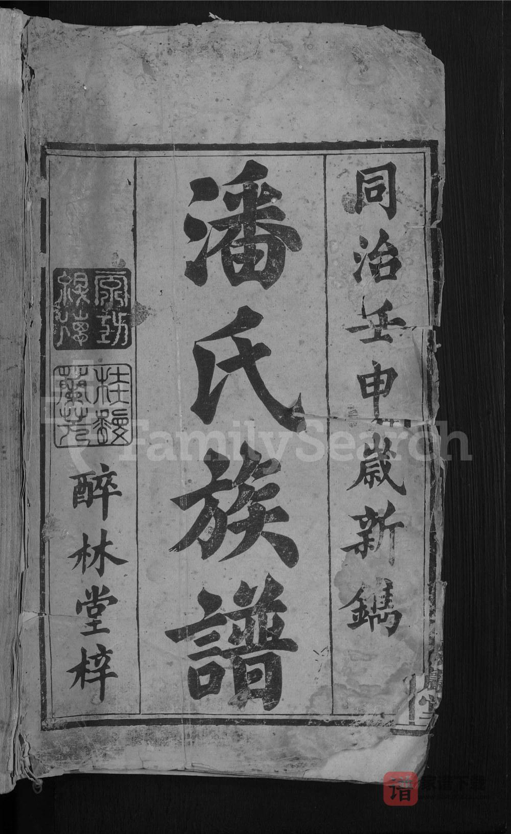 图片[1]-湖南常德汉寿县潘氏族谱（紫岩堂）PDF高清电子版下载-家谱下载