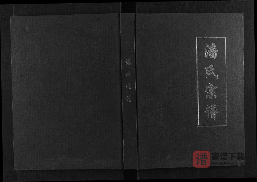 图片[1]-浙江金华武义县潘氏宗谱PDF高清电子版下载-家谱下载