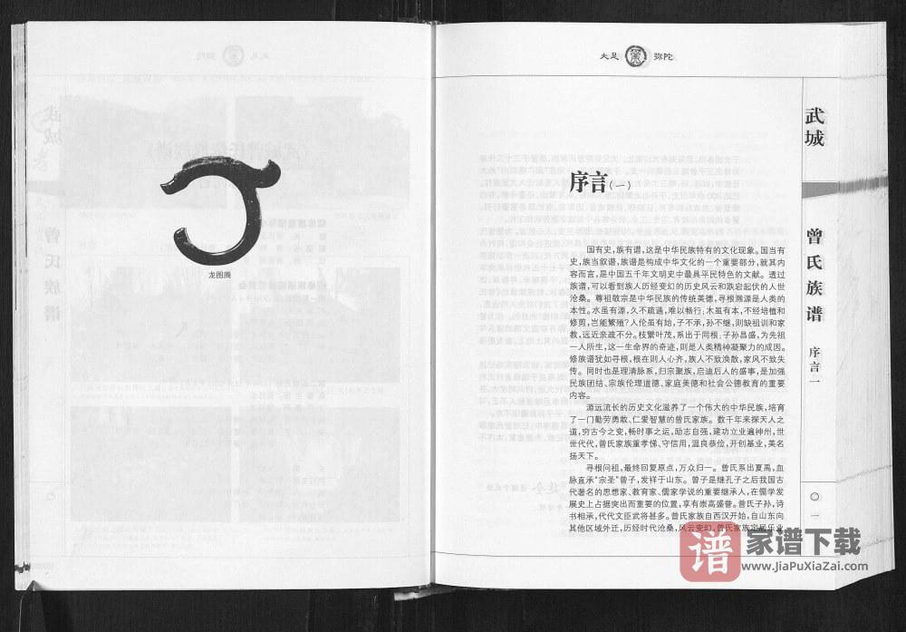 图片[2]-重庆大足区武城曾氏族谱PDF高清电子版下载-家谱下载