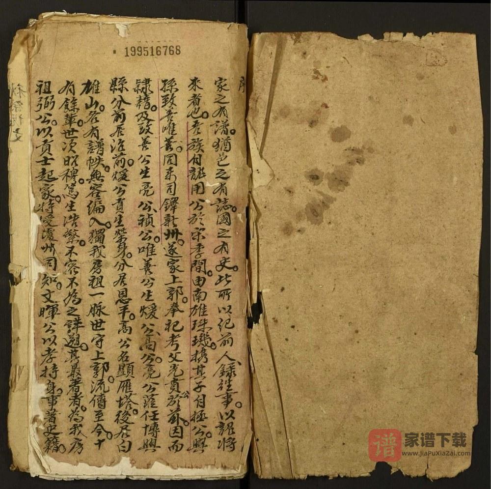 图片[1]-广东云浮新兴县冯氏家谱PDF高清电子版下载-家谱下载