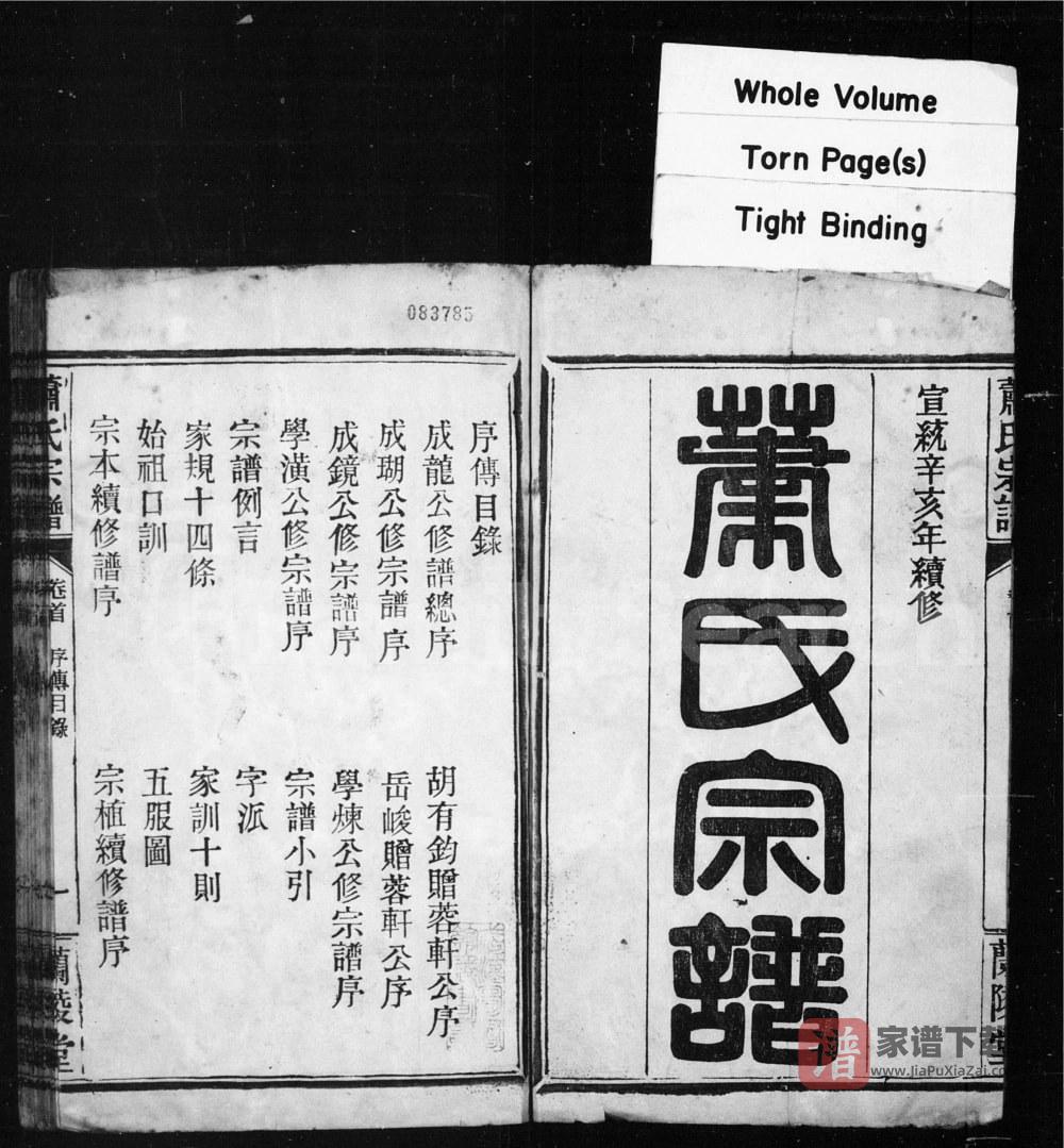 图片[2]-湖北武汉萧(肖)氏宗谱（兰陵堂）PDF高清电子版下载-家谱下载