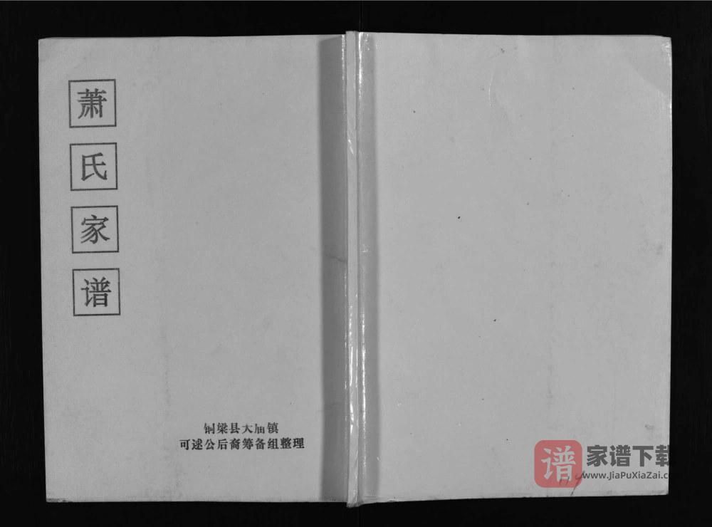 图片[1]-四川铜梁萧(肖)氏家谱PDF高清电子版下载-家谱下载