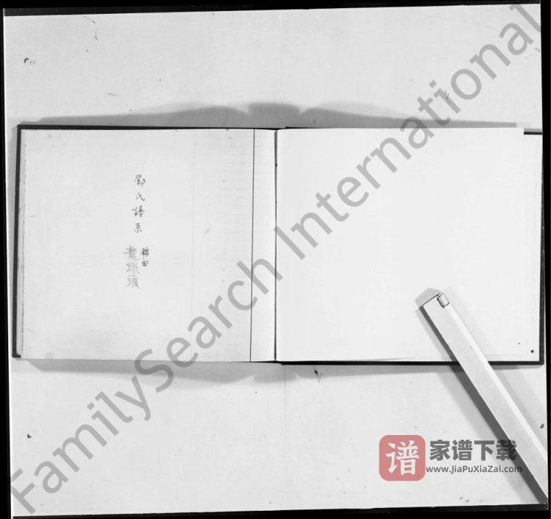 香港龙跃头邓氏谱系PDF高清电子版下载-家谱下载