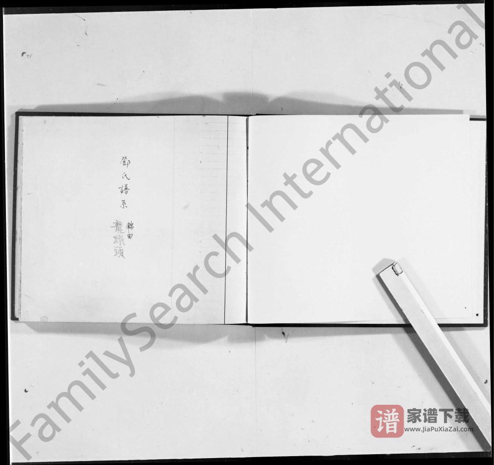 香港龙跃头邓氏谱系PDF高清电子版下载