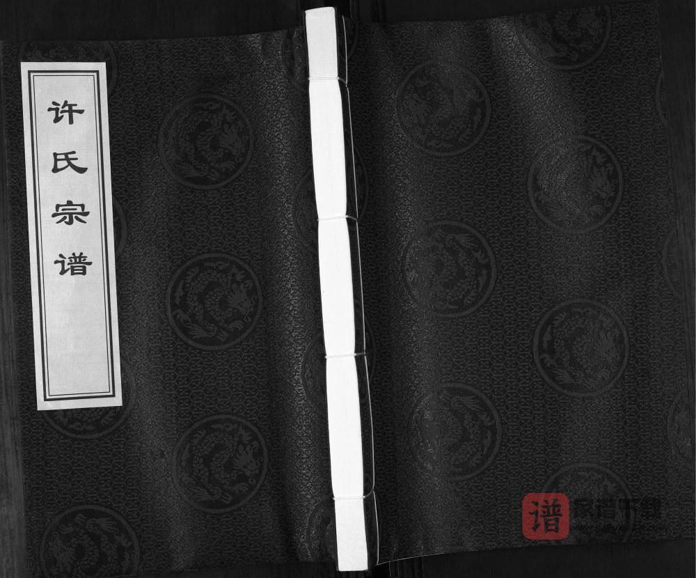 图片[1]-山东平度许氏宗谱PDF高清电子版下载-家谱下载