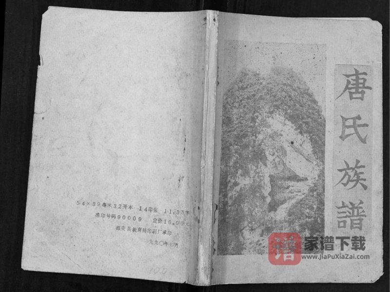 广西河池都安县唐氏族谱PDF高清电子版下载-家谱下载