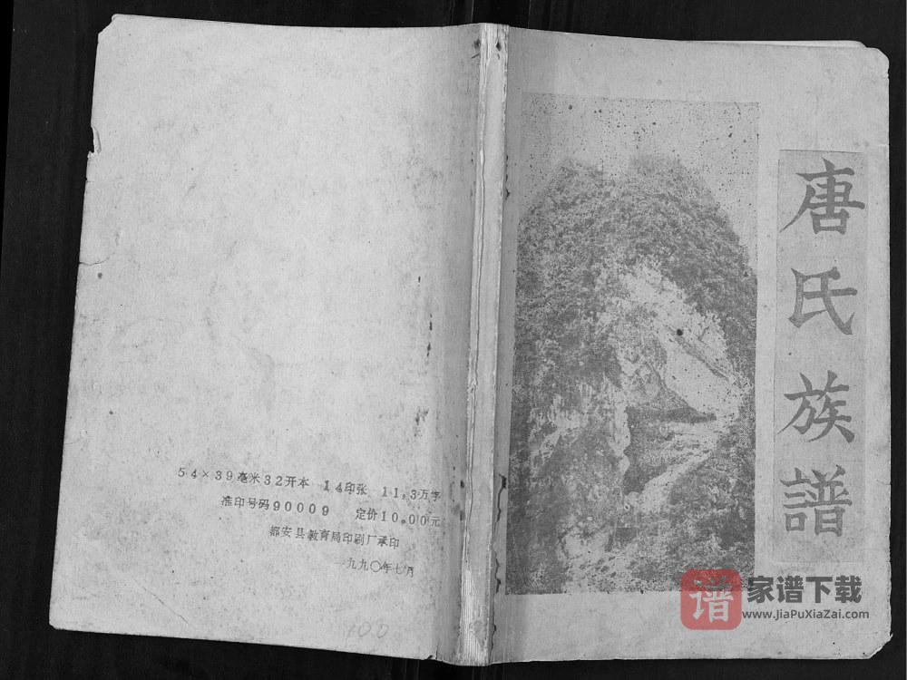 图片[1]-广西河池都安县唐氏族谱PDF高清电子版下载-家谱下载