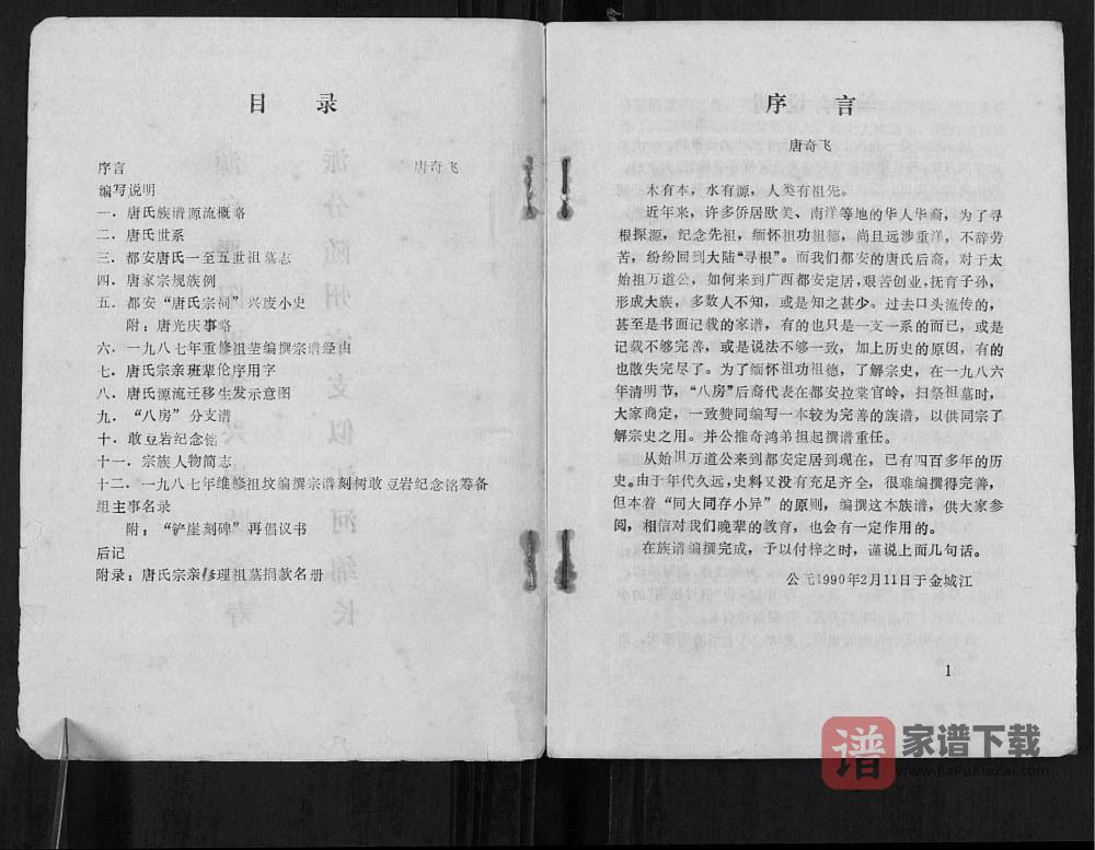 图片[2]-广西河池都安县唐氏族谱PDF高清电子版下载-家谱下载