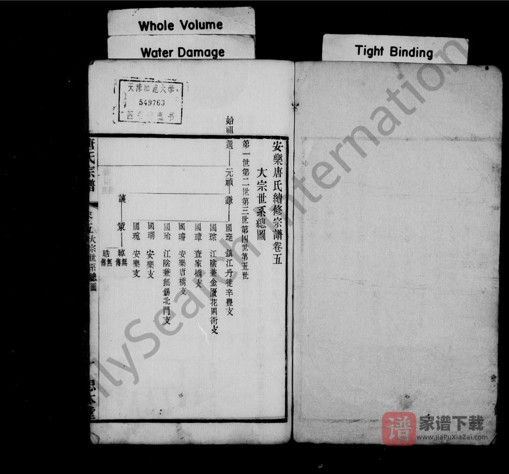 图片[2]-江苏江阴安乐唐氏宗谱（思本堂）PDF高清电子版下载-家谱下载